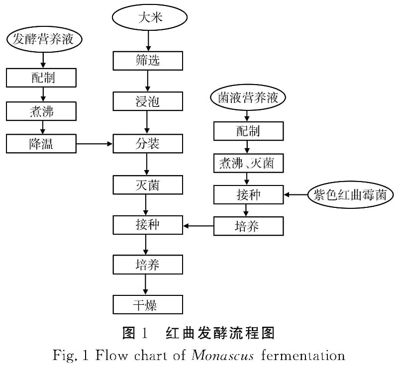 发酵工艺优化